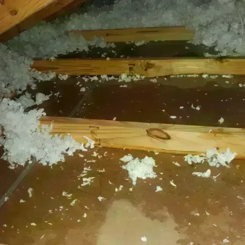 Attic Water Damage in Oakland City, IN