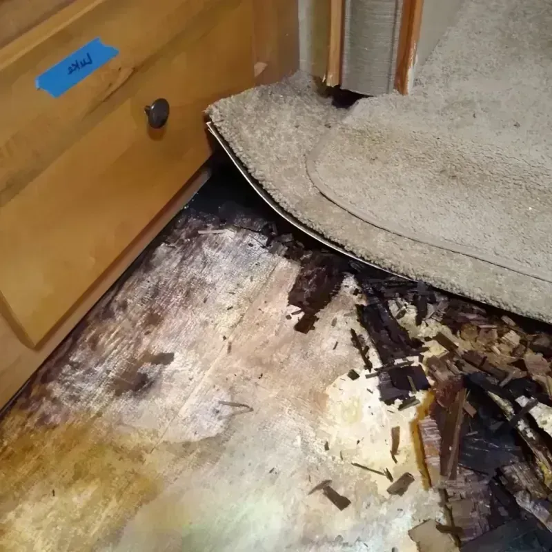 Best Wood Floor Water Damage Service in Oakland City, IN